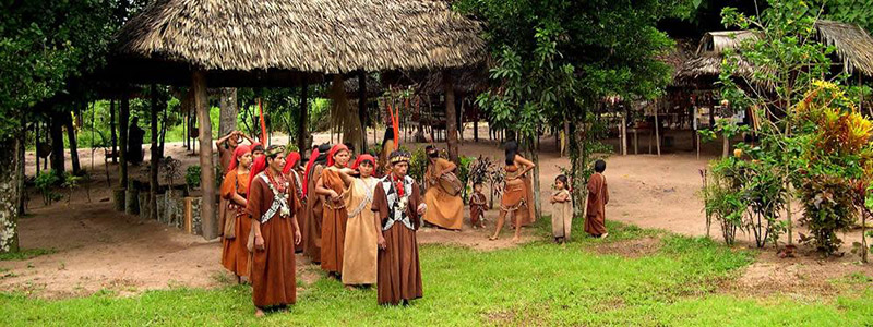 Comunidad Nativa de Pampamichi