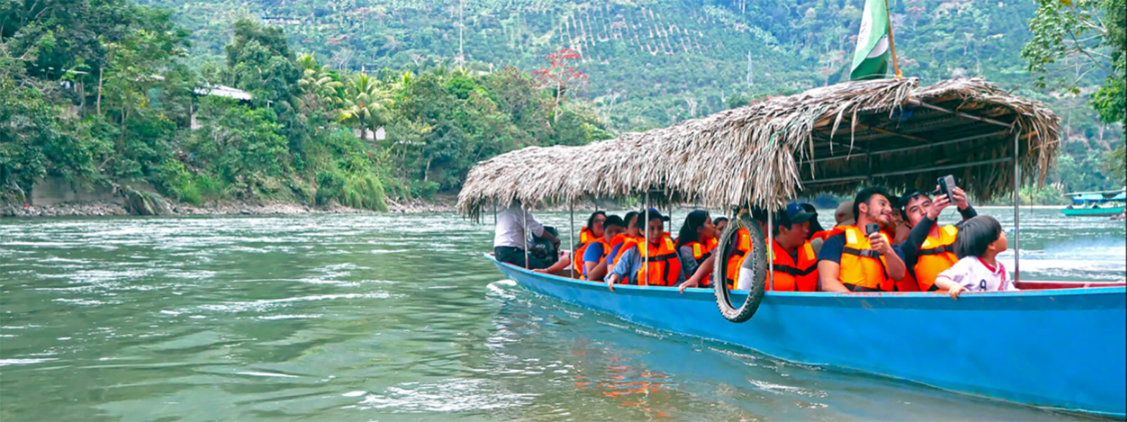 Paseo en bote Río Perené